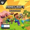 Java e Bedrock