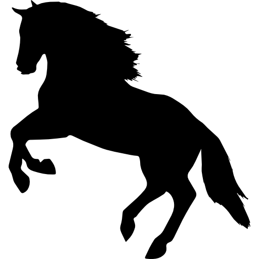 MONTARIAS ÉPICAS